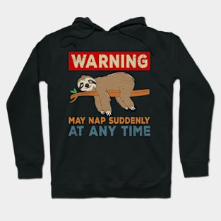 Warning May Nap Suddenly At Any Time Sloths Lovers Hoodie